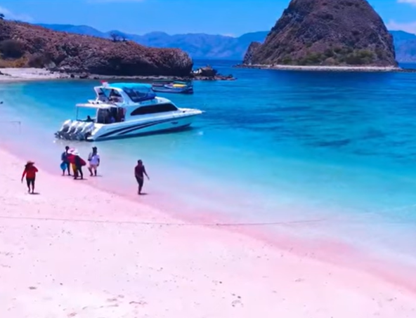 Pink Beach di Pulau Komodo NTT menjadi incaran destinasi wisatawan dalam dan luar negeri. (BeritaNasional/Youtube)