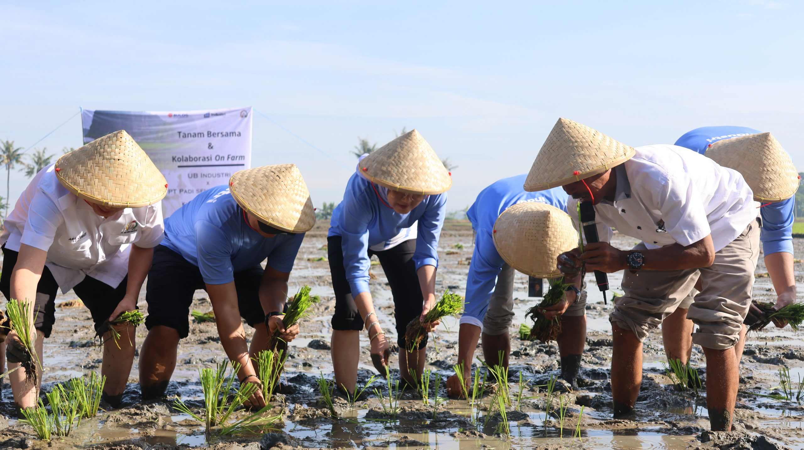 3 pola kemitraan Perum Bulog yang sukses hasilkan 14.236 ton gabah nasional. (Foto/Bulog)
