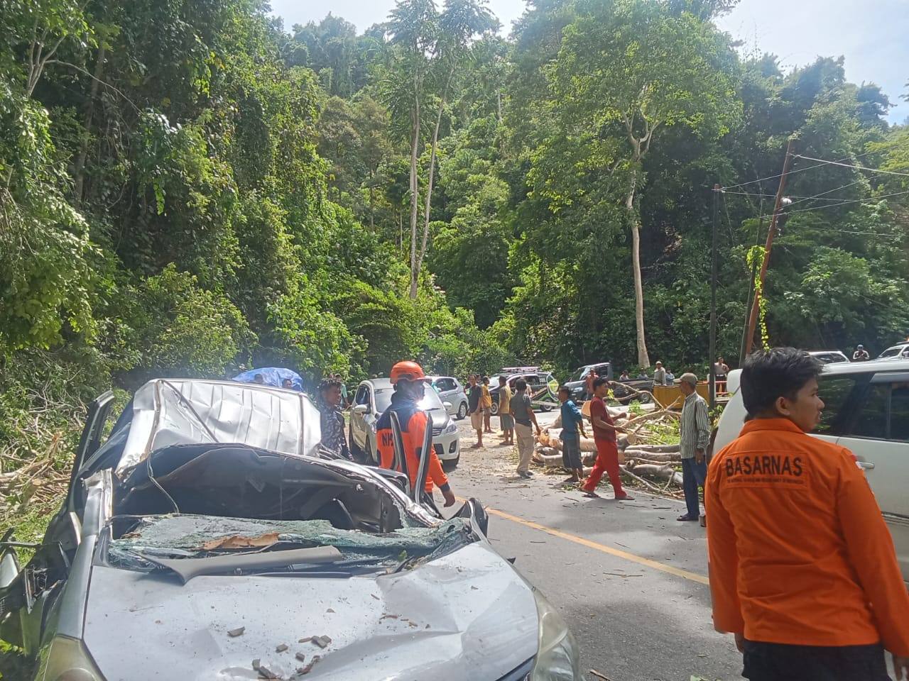 Beberapa mobil ringsek ditimpa pohon akibat angin kencang di Kabupaten Parigi Moutong Sulawesi Tengah. (BeritaNasional/BNPB)