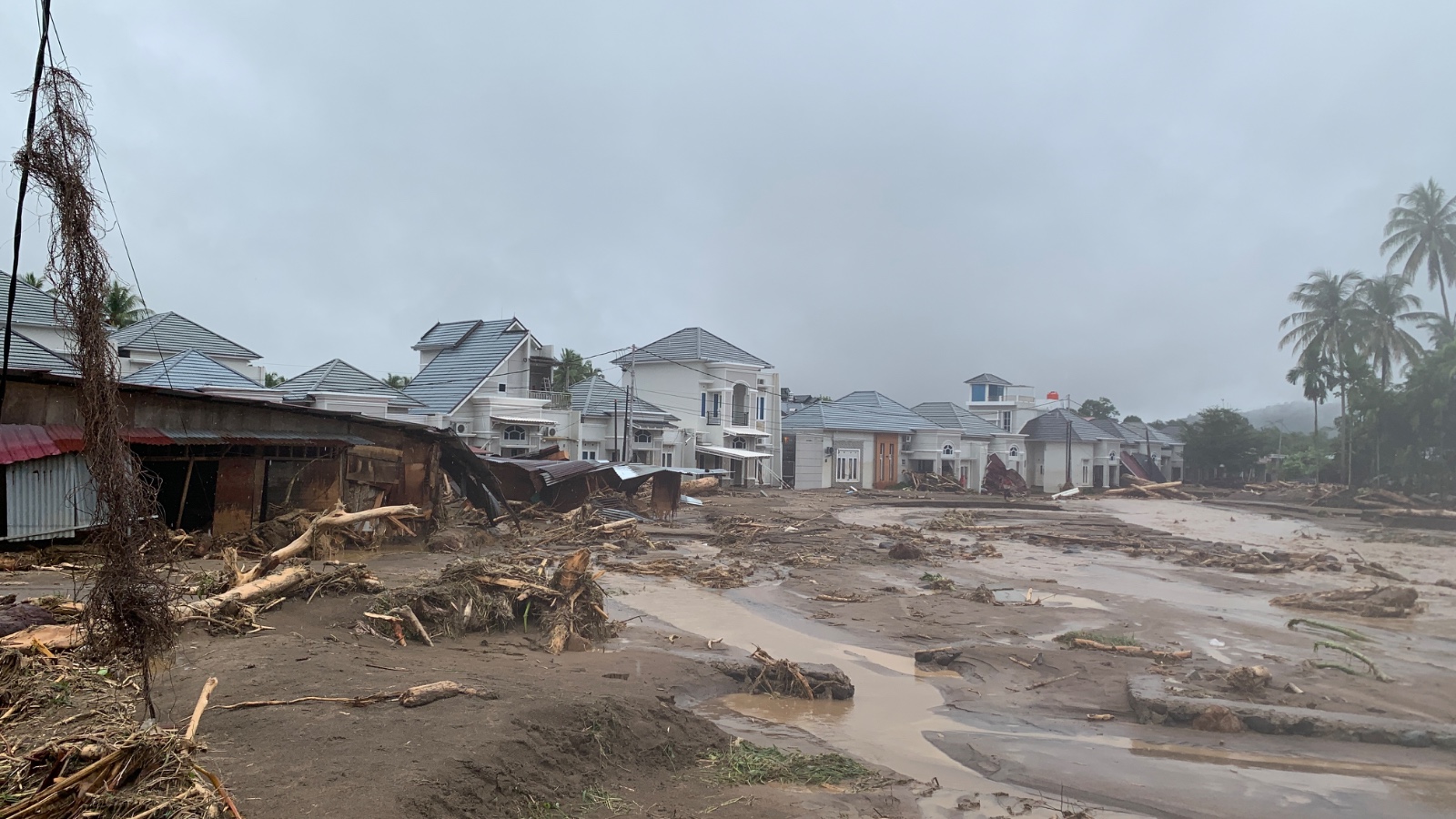 Kerusakan akibat banjir membawa material pohon dan lumpur di pemukiman rumah warga di Sumatera. (BeritaNasional/BNPB)