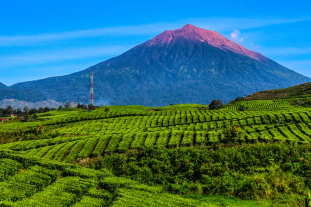 Gunung Kerinci. (Foto/Indonesia Travel)
