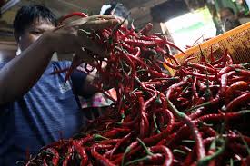 Pedagang penjual cabai merah. (BeritaNasional/Oke Atmaja)