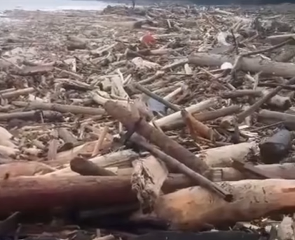 Kayu berserakan pada banjir Sumatera. (Foto/Instagram Feedgramindo)