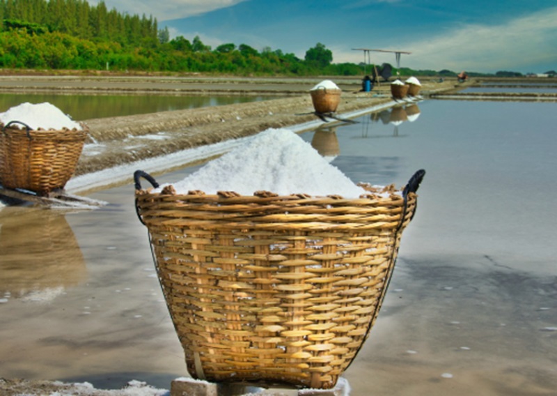 Petani garam (Foto/Pixabay)