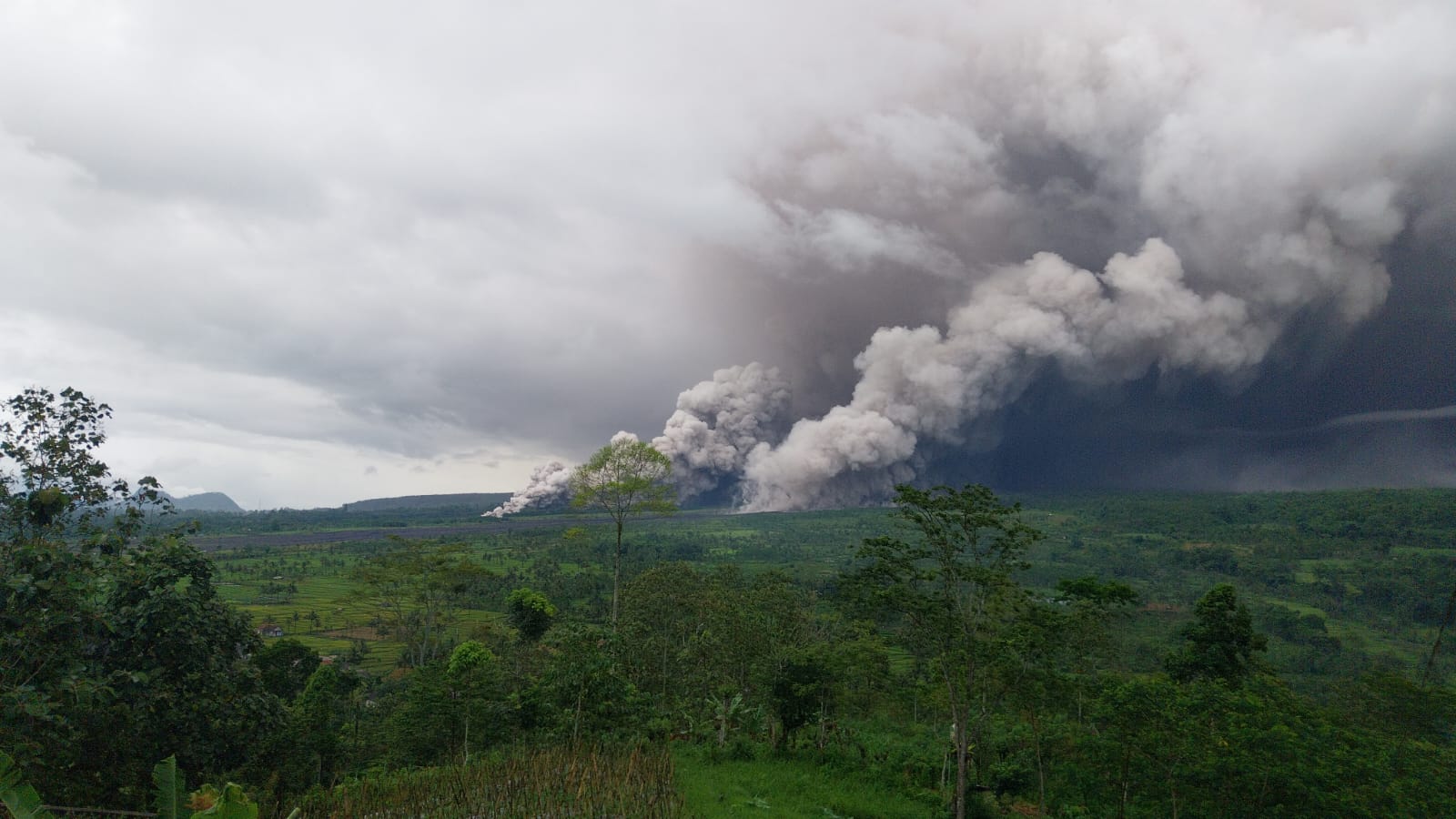 Gunung Semeru Jawa Timur meletus, pendaki dipastikan aman. (BeritaNasional/BNPB)