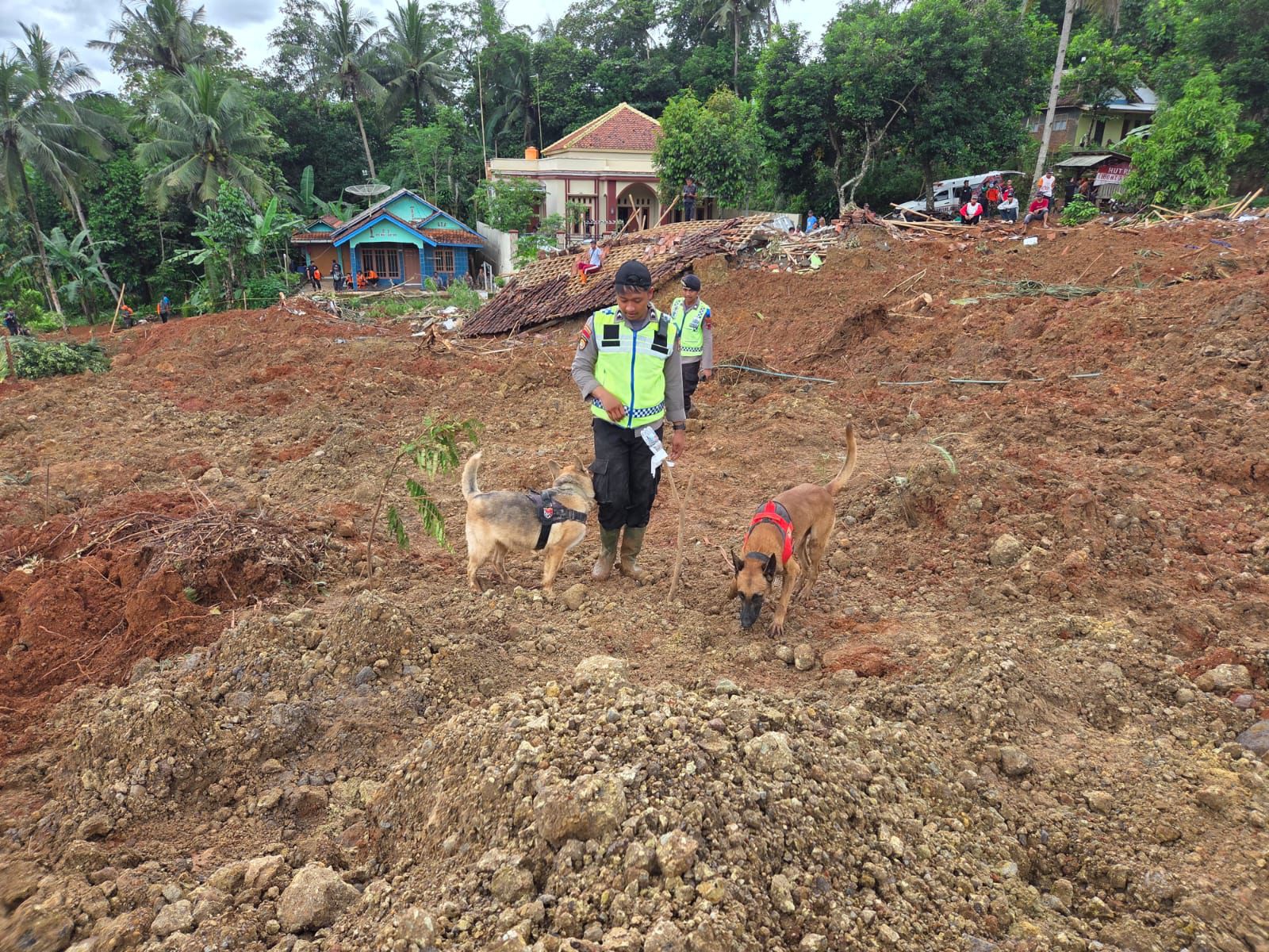 Polri mengerahkan anjing pelacak untuk memperkuat pencarian korban longsor Cilacap. (Foto/Dok Humas Polri)