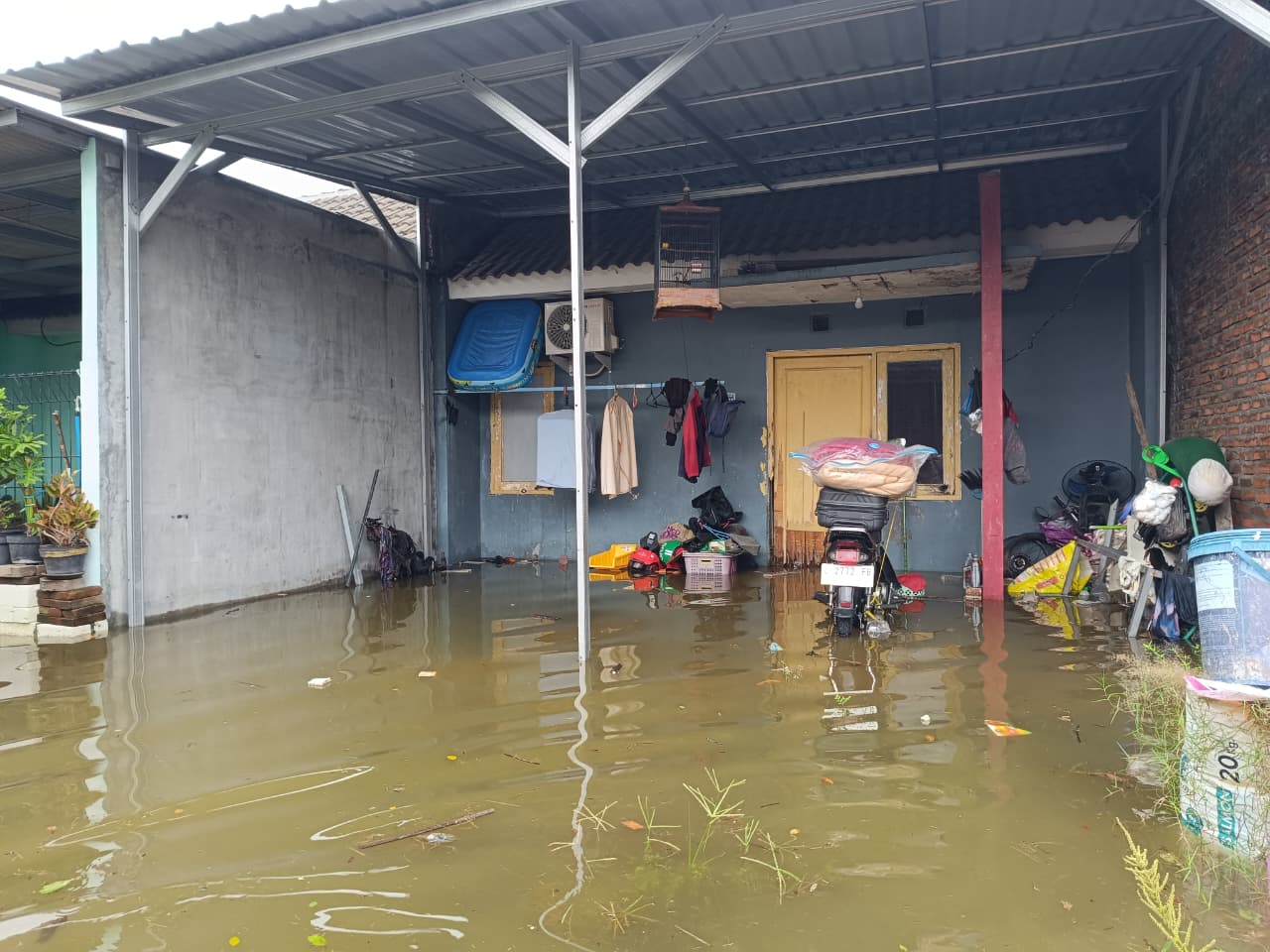 Banji di Kabupaten Gresik Jawa Timur akibat hujan deras dan luapan kali Lamong. (BeritaNasional/BNPB)