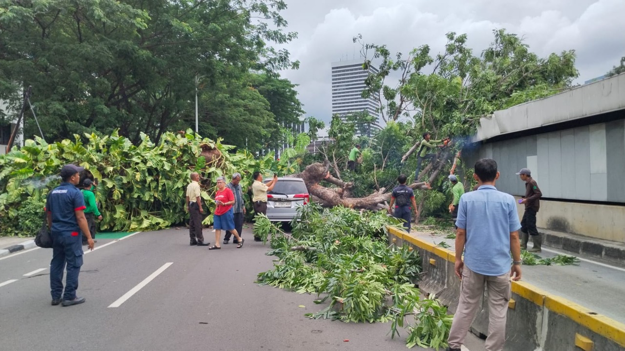 Pohon tumbang di Jakarta Selatan menutup akses jalan dan jalur Transjakarta termasuk membuat layanan MRT terganggu. (BeritaNasional/Lydia)