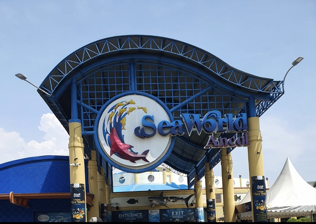11 wisata edukasi di Jakarta yang ramah anak, bisa tambah ilmu dengan cara seru-Seaworld Ancol. (BeritaNasional/Kiswondari)