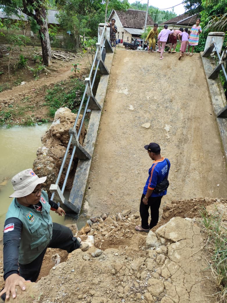 Banjir di Pesisir Barat Lampung, 114 rumah terendam hingga jembatan rusak. (Foto/BNPB)