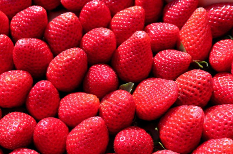 Buah stroberi cegah dehidrasi (Foto/Pixabay)