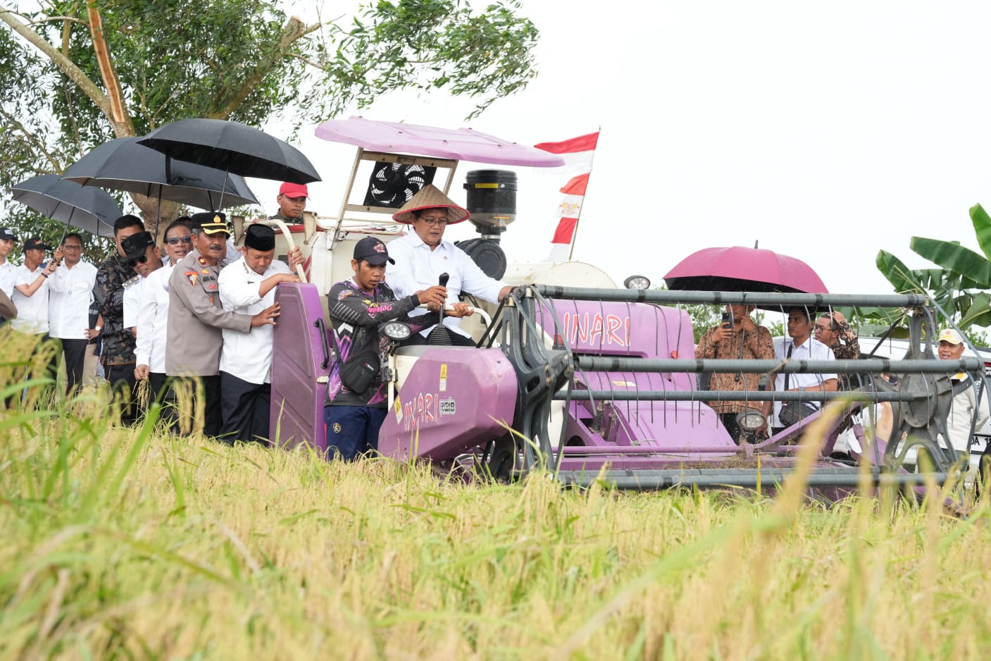 Wamentrans Viva Yoga Mauladi di kawasan transmigrasi Barito Kuala. (BeritaNasional/Kementrans)
