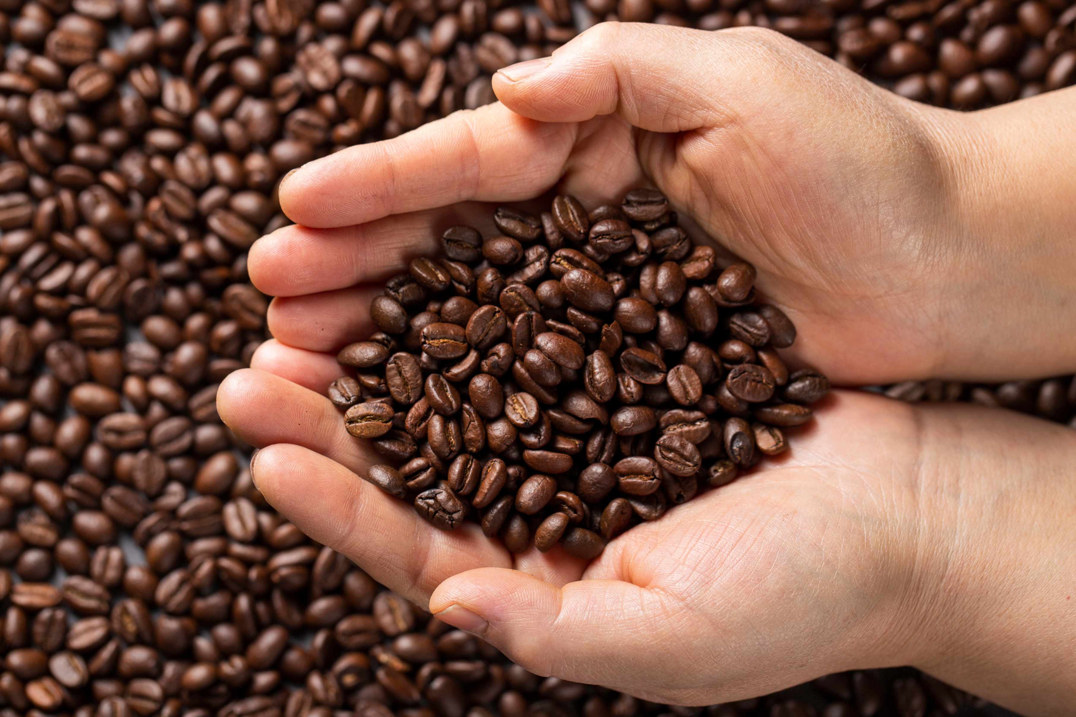 Biji kopi. (Foto/Freepik)