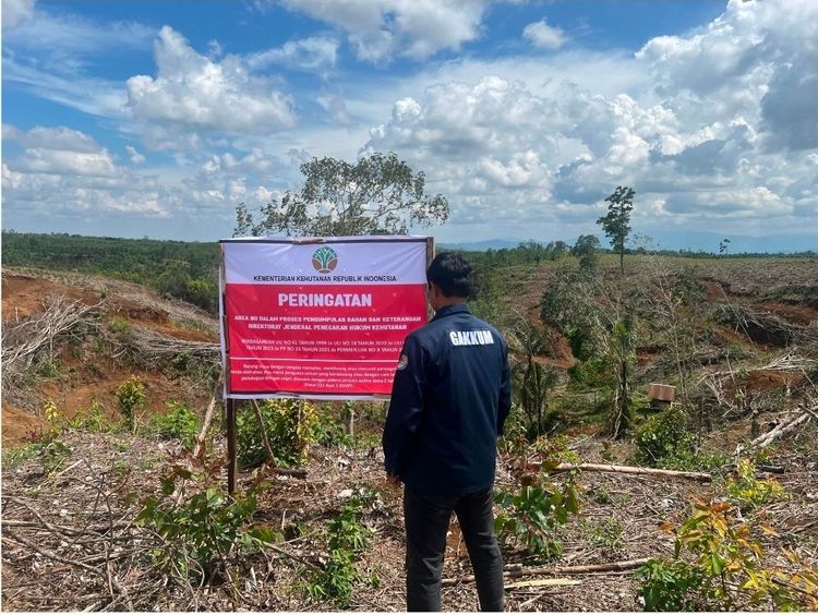 Kemenhut: Penyalahgunaan PHAT Diduga Jadi Kedok Pembalakan Liar di Tapanuli. (Foto/Kememhut)