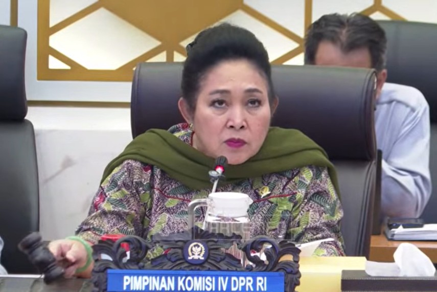 Ketua Komisi IV DPR Titiek Soeharto minta Kemenhut hentikan penebangan kawasan hutan, jangan hanya moratorium. (Foto/YouTube Komisi IV DPR)