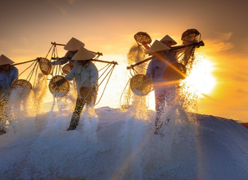 Ilustrasi tambak garam (Foto/Pixabay)