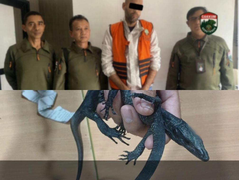 Penyelundupan 32 reptil liar dan dilindungi oleh WNA Mesir berhasil digagalkan. (BeritaNasional/Facebook Gakkum Kemenhut)