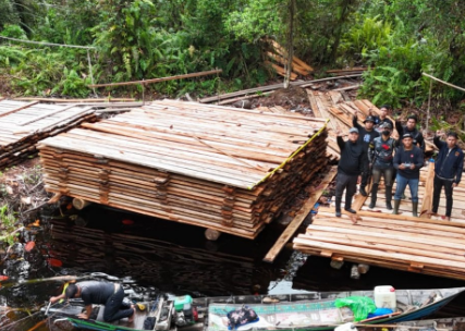 Telusuri sungai Kanan Gaung, polisi ungkap 300 kubik kayu hasil illegal logging di Indragiri Hulu. (Foto/Polres Indragiri Hulu)