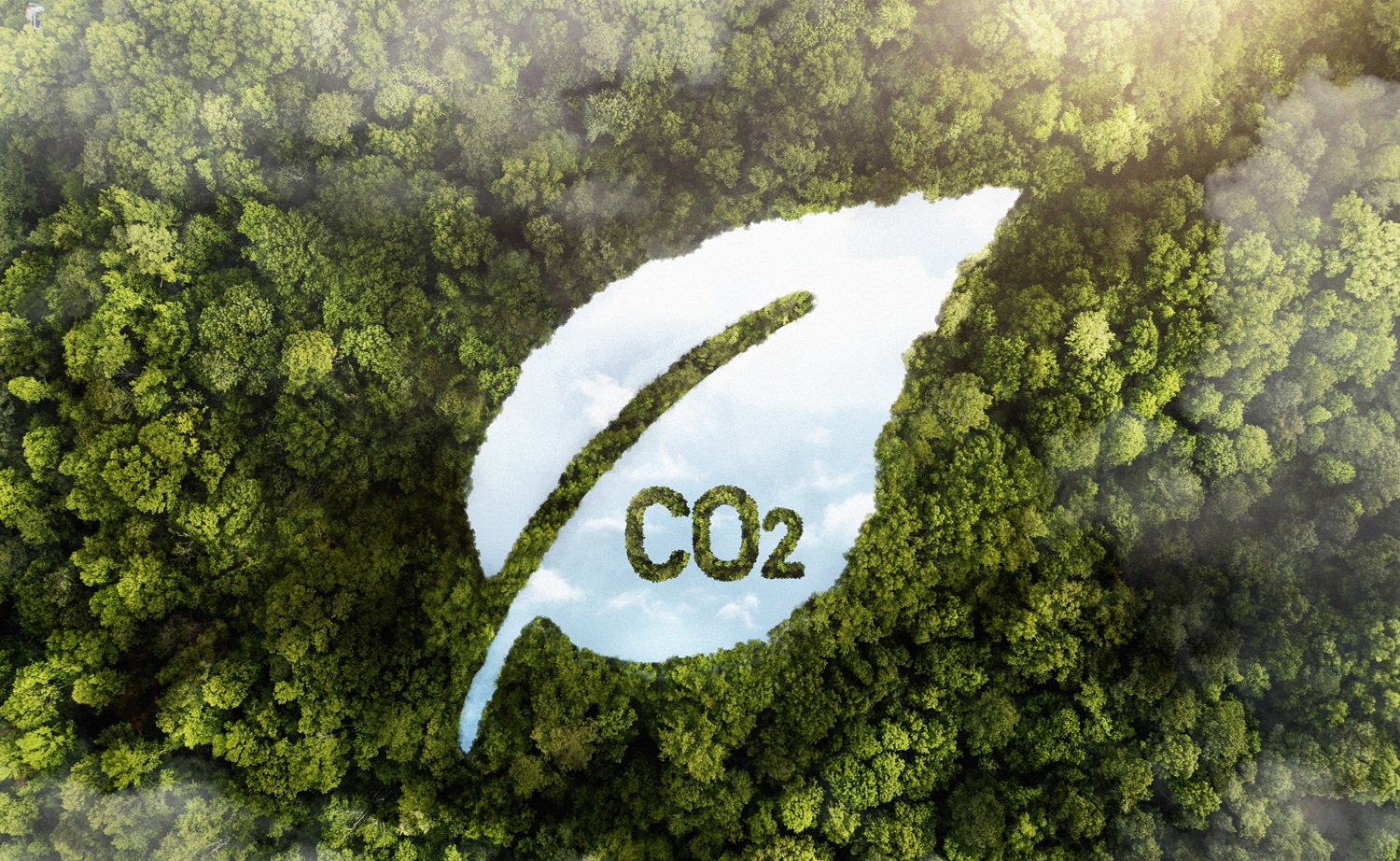 Ilustrasi Pengurangan Emisi CO2. (Foto/freepik)