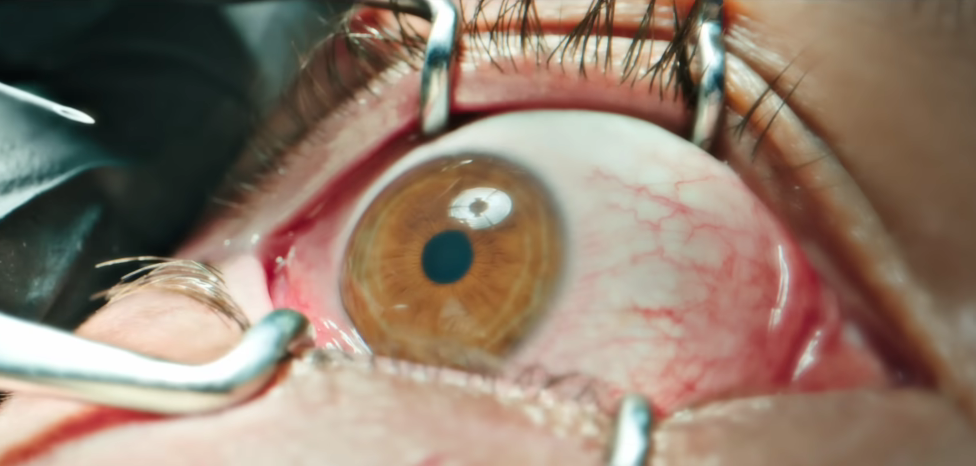 Trailer film The Home. (Foto/YouTube Lionsgate)