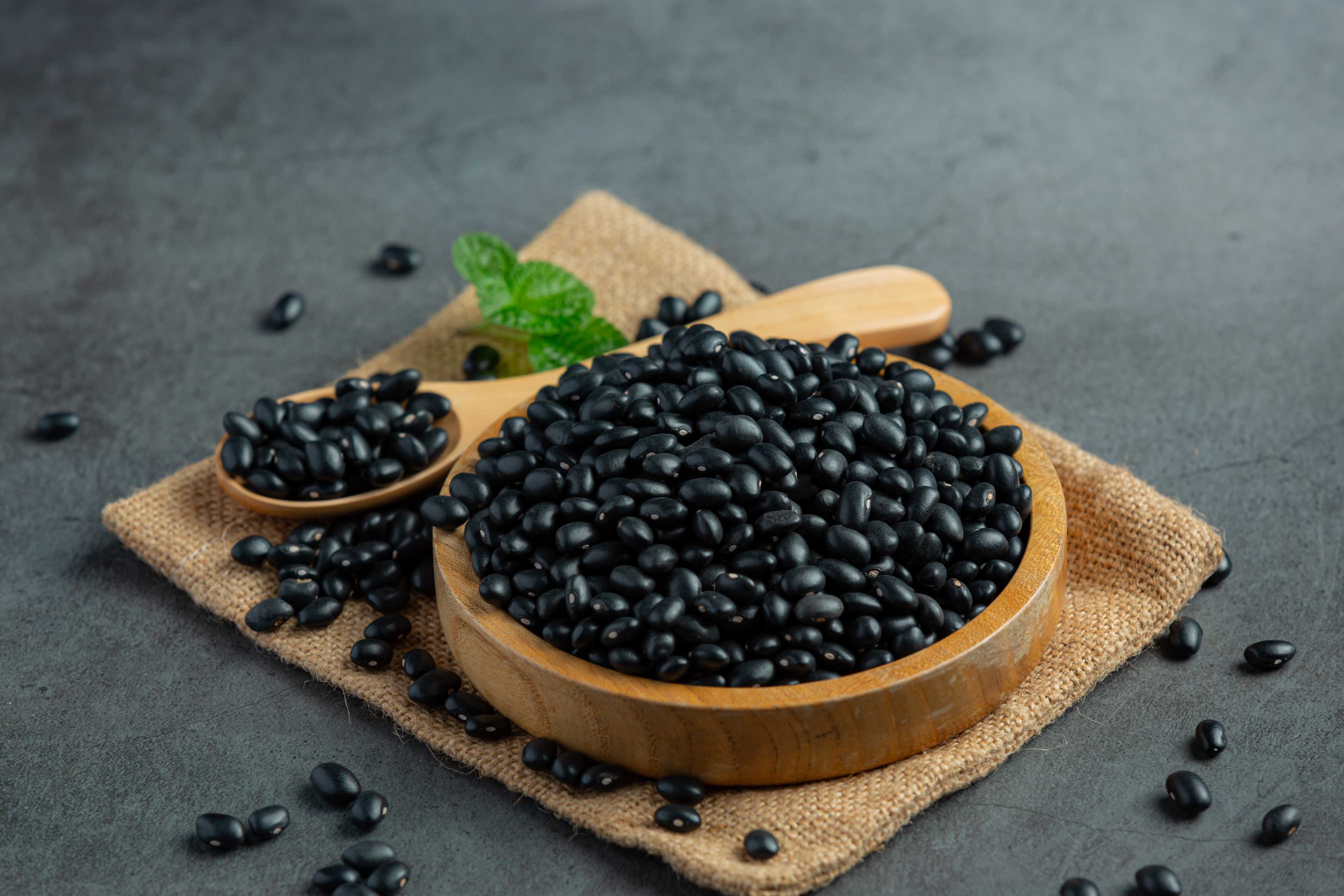 Ilustrasi kacang hitam. (Foto/Freepik)