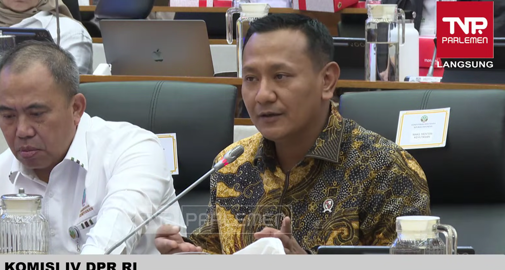 Wakil Menteri Hutan RI Rohmat Marzuki saat rapat kerja di Komisi IV DPR. (Foto/YouTube TV Parlemen)