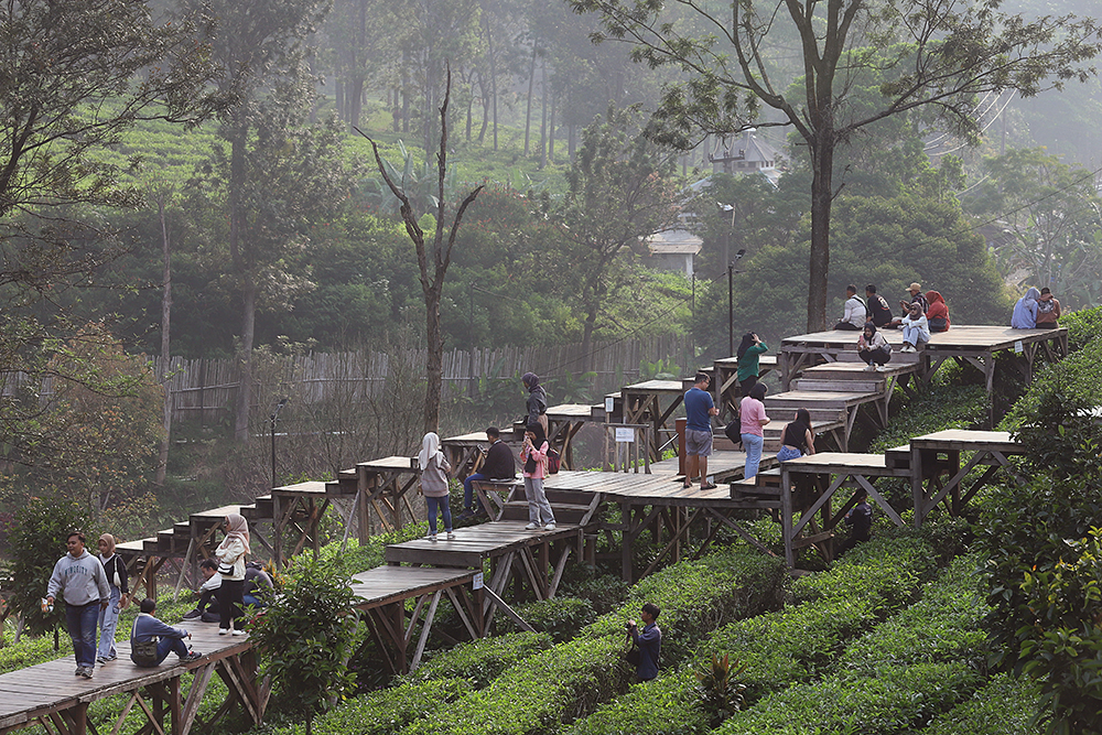 Wisatawan menikmanti pemandangan di wahana Tea Bridge, Agrowisata Gunung Mas, Cisarua, Bogor. (BeritaNasional/Elvis Sendouw)