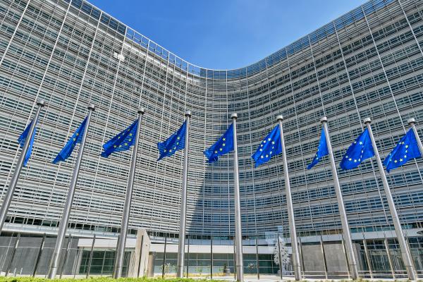 Bendera Uni Eropa (UE) atau European Union (EU). (BeritaNasional/European Union)