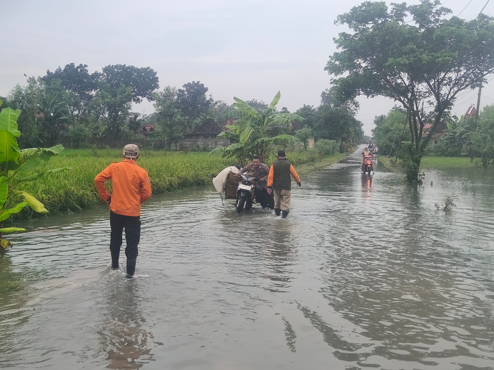 Banjir di Kabupaten Grobokan Jawa Tengah. (BeritaNasional/dok BNPB)