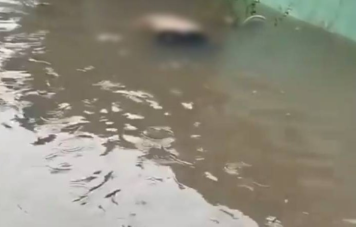 Jenazah mengambang di aliran banjir Bekasi Timur, Minggu (18/1/2026). (BeritaNasional/X Txtdrbekasi)