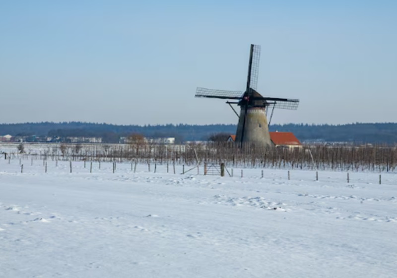 Belanda alami cuaca ekstrem (Foto/Freepik)