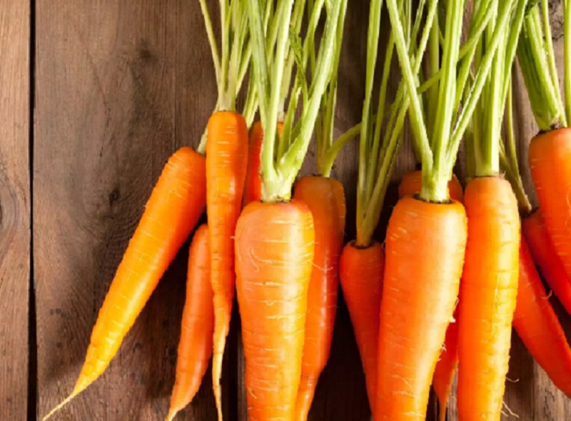 Wortel sumber vitamin A (Foto/Times of India)