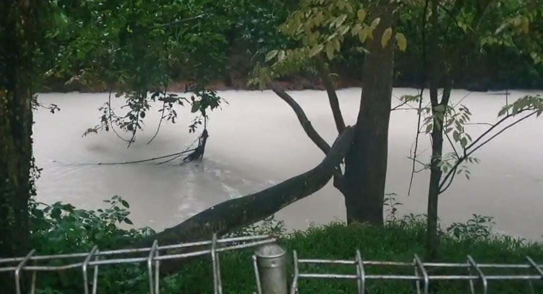 Sungai Cisadane tercemar limbah pestisida imbas kebakaran pabrik pupuk di BSD, Tangerang. (BeritaNasional/Istimewa)
