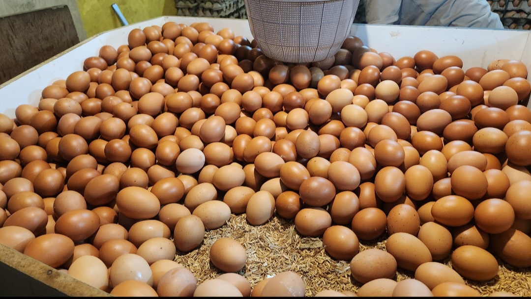 Telur ayam di pasar serpong Tangerang Selatan. (BeritaNasional/panji)