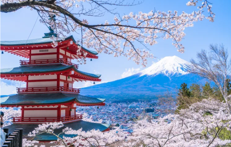 Festival Bunga Sakura Taman Arakurayama Sengen, Prefektur Yamanashi, Jepang. (BeritaNasional/Japan Travel)
