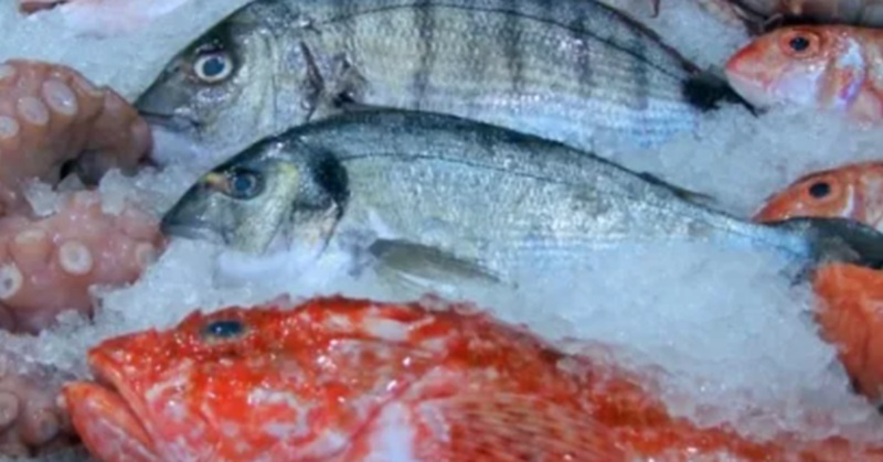 Mutu ikan dijaga (Foto/Pixabay)