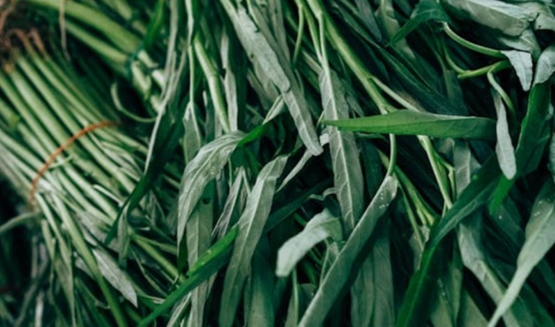 Harga kangkung naik (Foto/Pixabay)