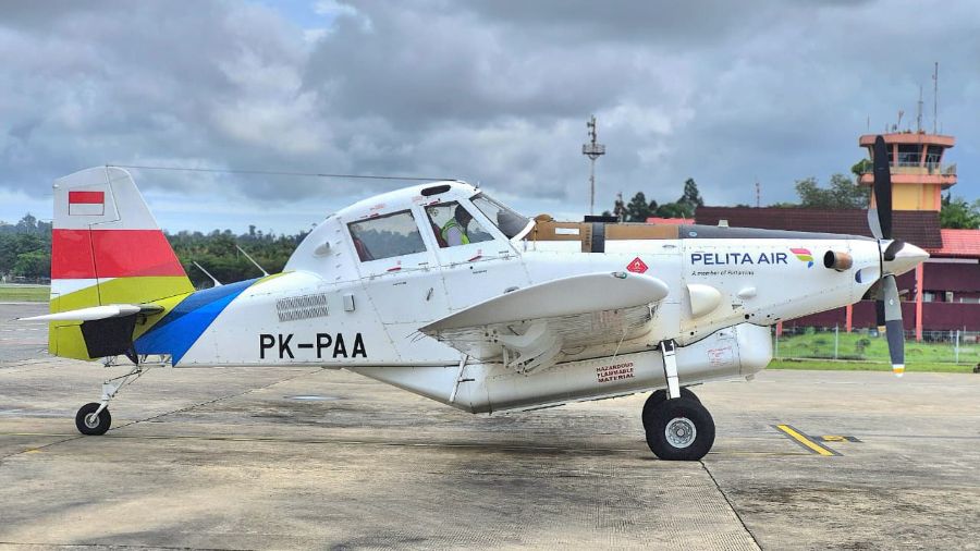 Pesawat charter Pelita Kargo, PK-PPA. (Foto/Ist)