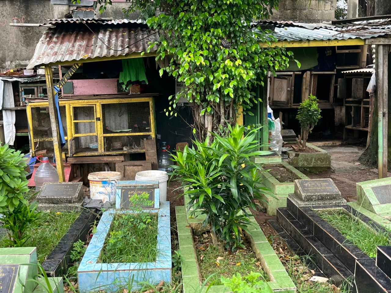 Area Makam Dipakai untuk Tempat Pemeliharaan Unggas. (Foto/Istimewa)