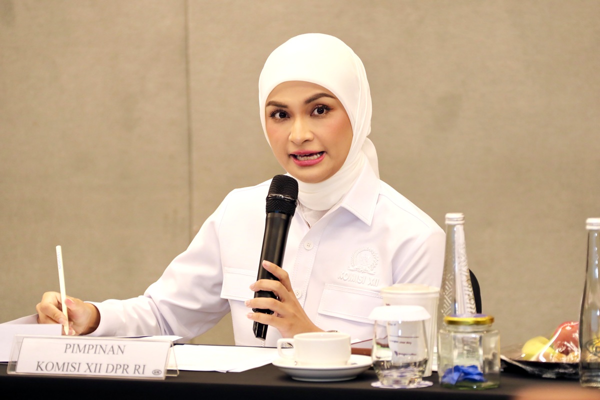 Wakil Ketua Komisi XII DPR RI Putri Zulkifli Hasan. (Foto/dpr.go.id)