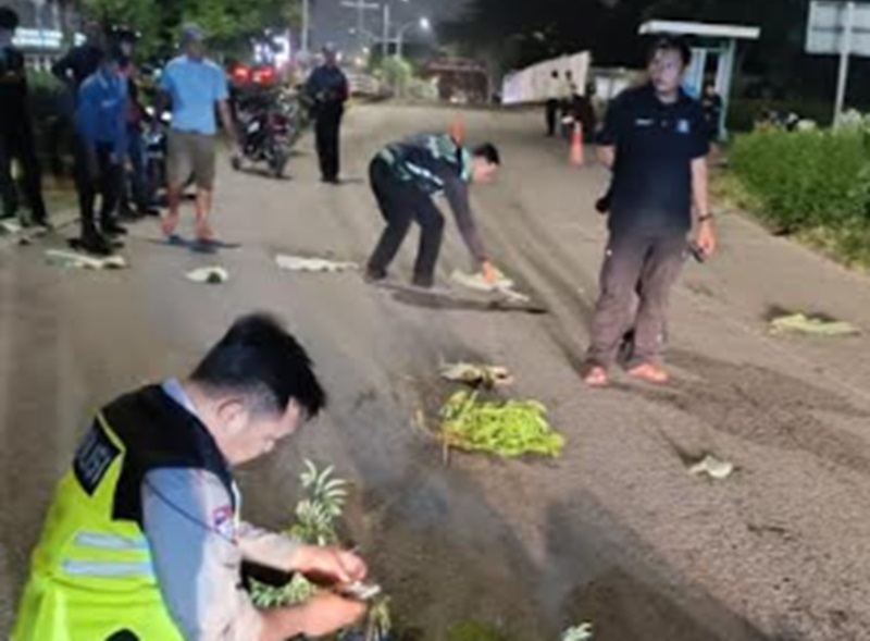 TKP Mobil Fortuner diduga tabrak lari (Beritanasional/Bachtiar)