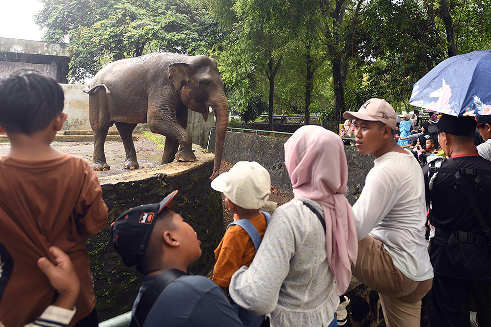 Wisata di Taman Margasatwa Ragunan. (BeritaNasional/Elvis Sendouw)
