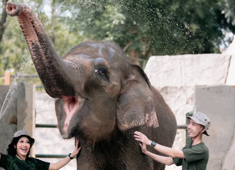 Semarang Zoo (Foto/Instagram Semarang Zoo)