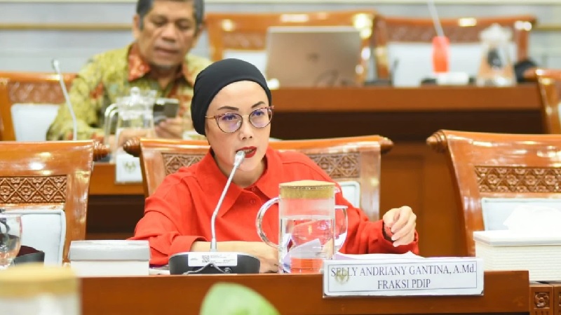 Anggota Komisi VIII DPR Selly Andriany Gantina. (BeritaNasional/istimewa)
