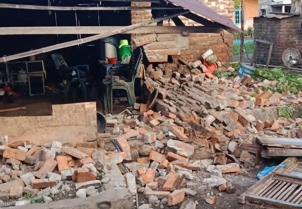 Gempa M4,7 mengguncang Flores Timur, NTT. (Foto/BNPB)