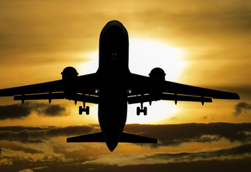 Ilustrasi pernebangan. (Foto/Pixabay)
