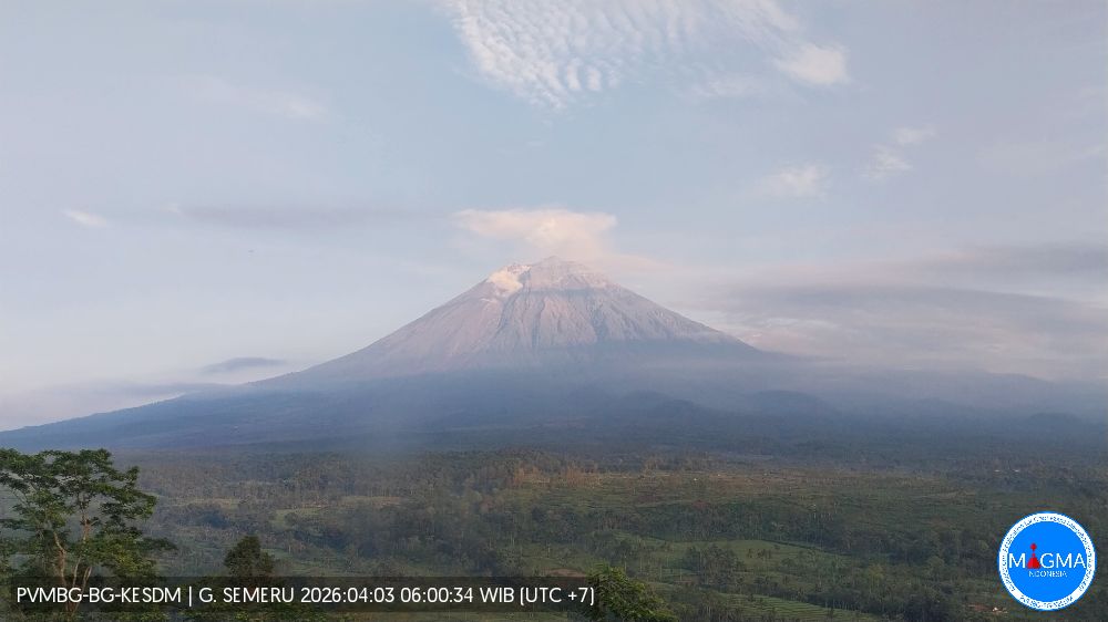 Gunung Semeru Erupsi, Jumat (3/4/2026). (BeritaNasional/Badan Geologi ESDM)