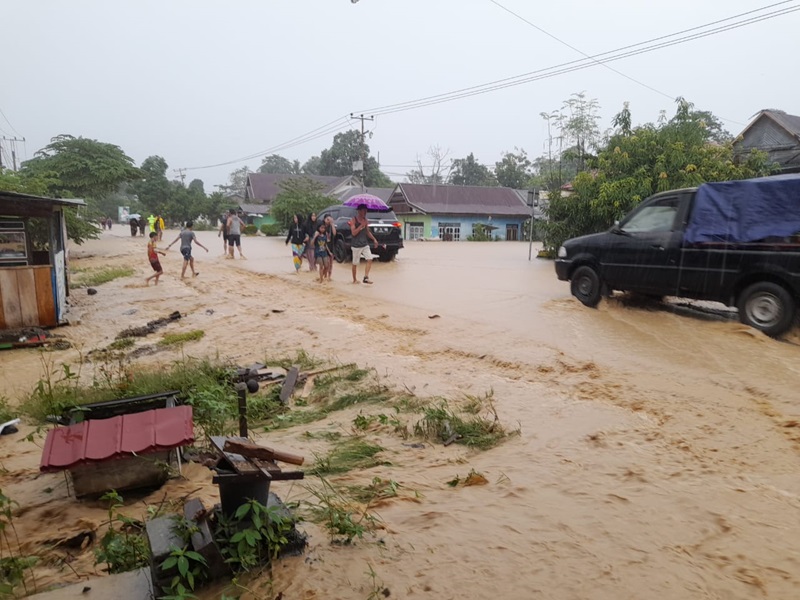 Ilustrasi banjir dan tanah longsor (BeritaNasional/BNPB)