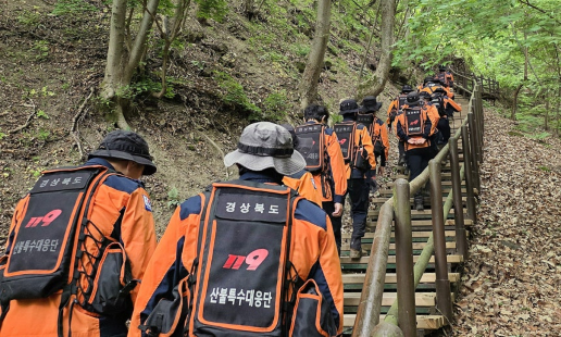 350 personel dikerahkan untuk mencari bocah 11 tahun yang hilang di Gunung Juwangsan, Korea Selatan. (BeritaNasional/X Info Drakor ID)