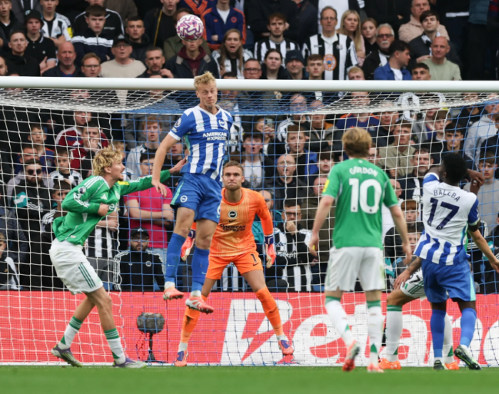 Pemain bertahan Brighton, Jan Paul van Hecke. (Foto/doc. Brighton)